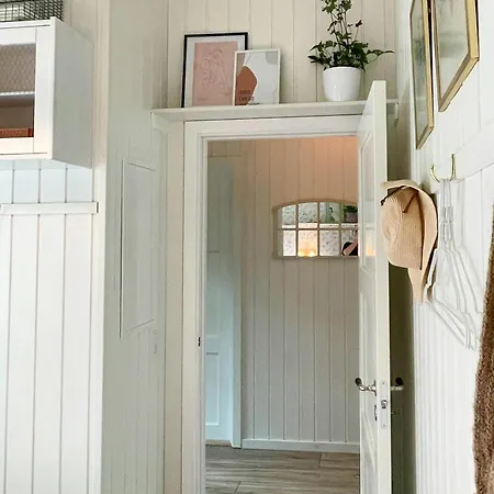 Summer Dreams And Nature In Beautiful Landscape