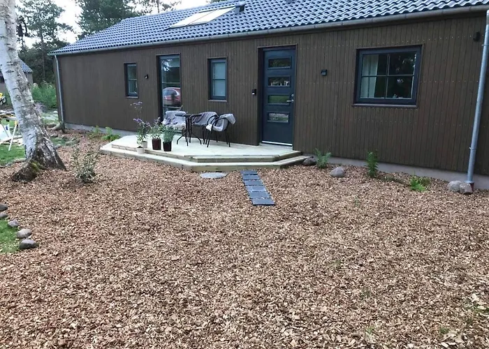 Summer Dreams And Nature In Beautiful Landscape Rødby